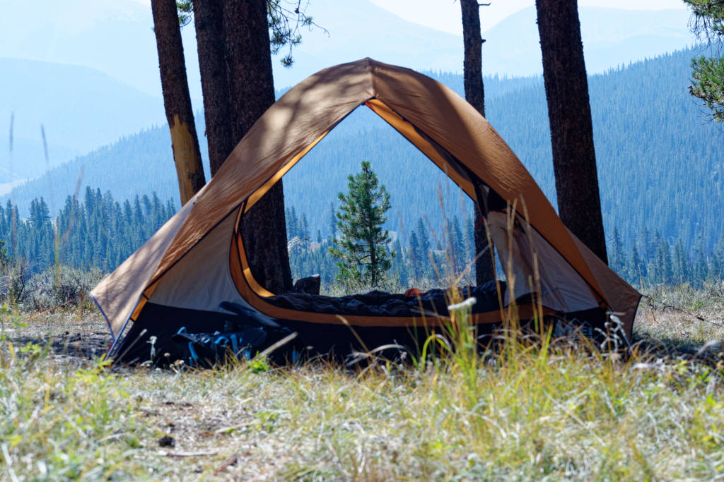 Gunnison National Forest